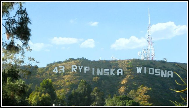 43 RYPIŃSKA  WIOSNA   TEATRALNA