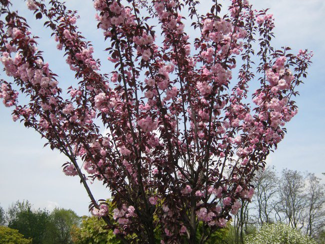 Moje osiedle wiosną