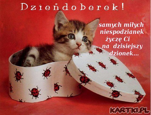 To dla cibei kochanie