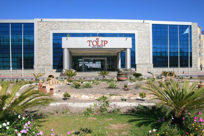 TOLIP Taba 2015