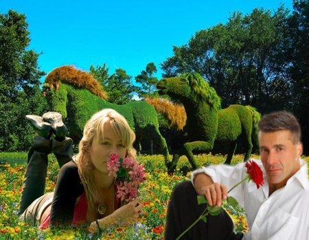 MIŁO SPEDZONYCH CHWIL