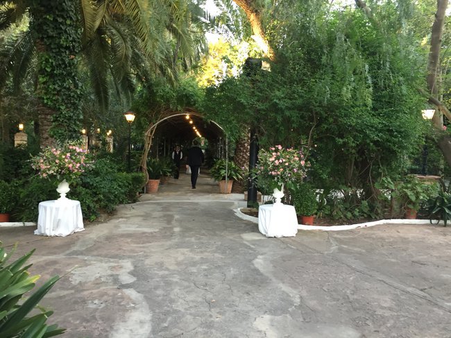 Hiszpania 2016 Hoya & Seiko