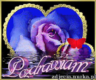 wirtualna przyjaźń