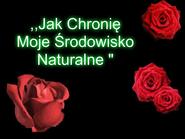 Moje Środowisko
