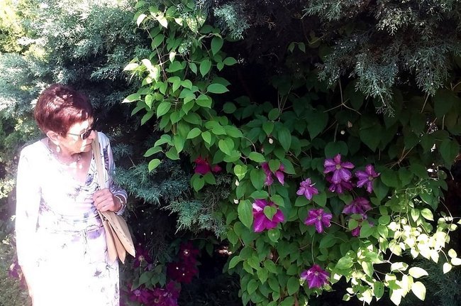 Spacer wśród kwiatów