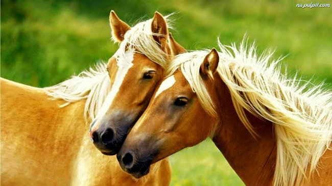 Mój najlepszy dzień