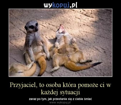 Nasza grupa szaleńców