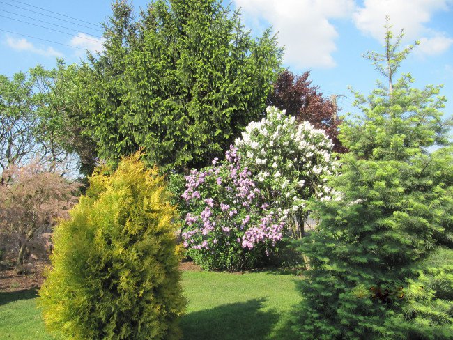 Ogród mojej córki.