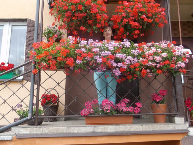 LATO W MOIM OGRÓDKU.....