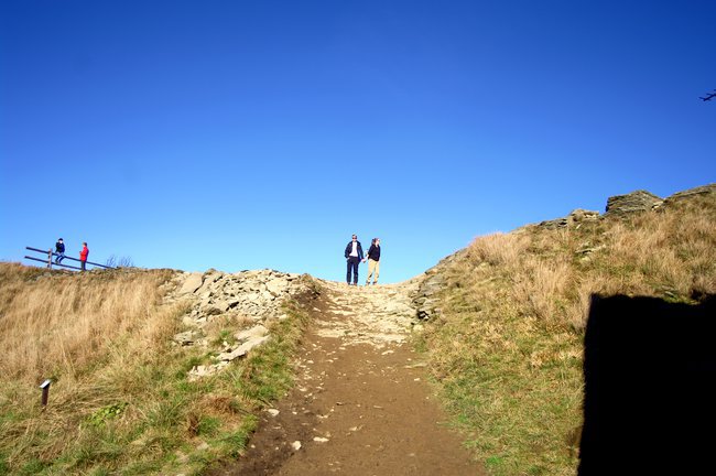 Z Pysią przez świat