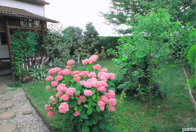 DZIEKUJE ZA PAMIEĆ M.C.