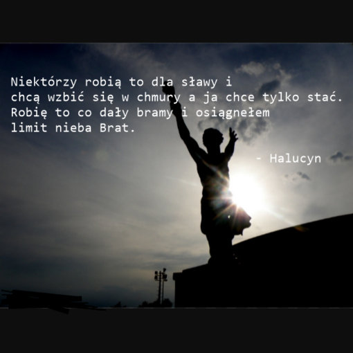 Halucyn - Sentyment