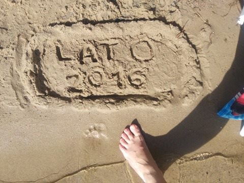 Lato 2016
