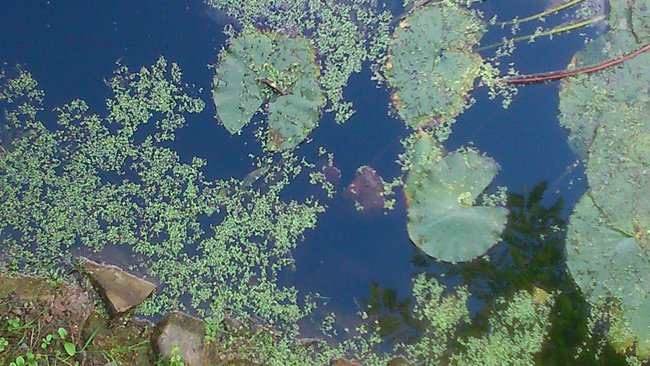 U Wiedźmy- Muzeum lalek w Pilźnie