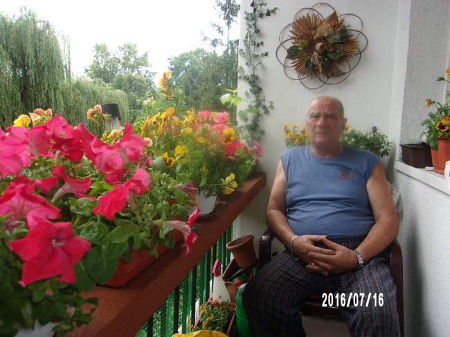 DEDYKACJA DLA ZIUTKA