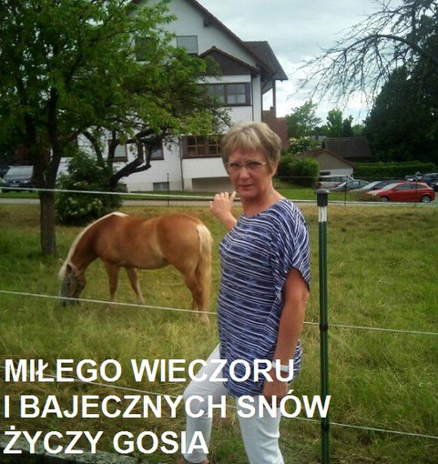 MIŁEGO WIECZORU I BAJECZNYCH SNÓW ŻYCZY GOSIA