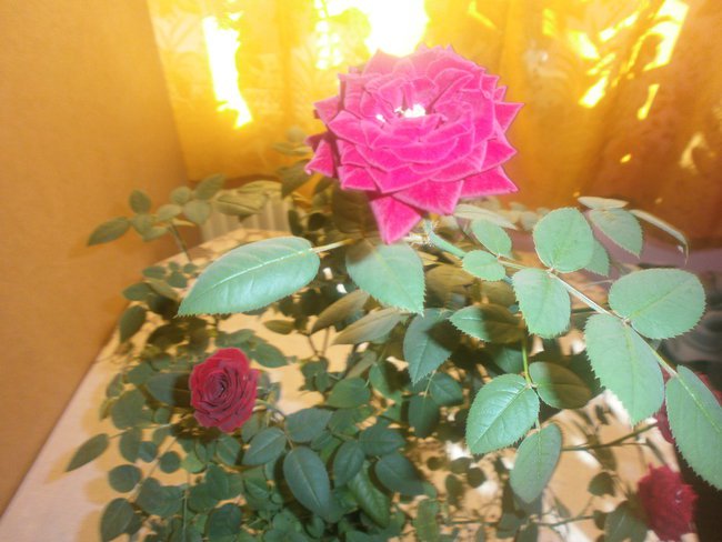 Chyba jeszcze nikt  nie miał tak jak my......