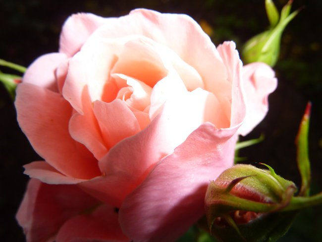 Wspominienie lata w Ustroniu Morskim.