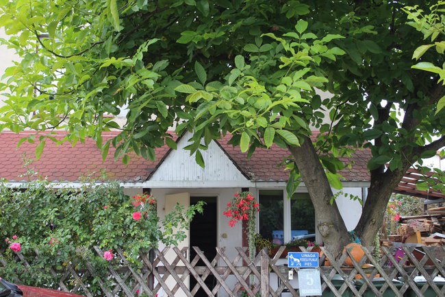 Pamiatka z Wakacji:)