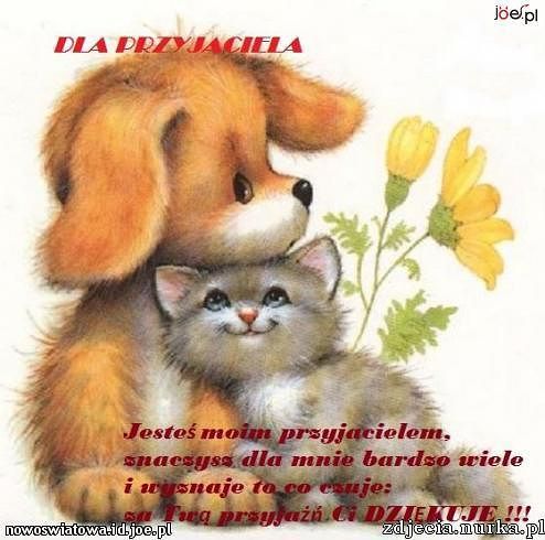 Dla wspanialych Przyjaciol od Marioli i Mirka