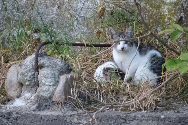 Po drugiej stronie rzeki