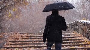 Deszczowa nieznajoma - Universe