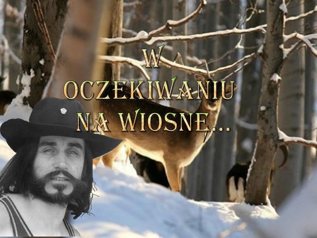 W oczekiwaniu na wiosnę...