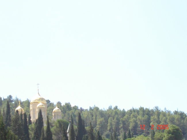 ISRAEL 2010 CZ 3