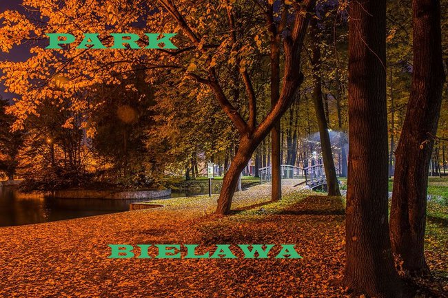 JESIENNE POZDROWIENIA