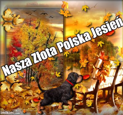 Nasza złota jesień ,,,