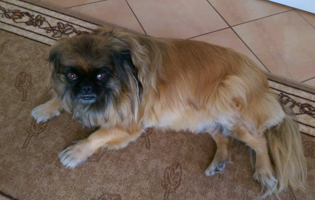 WSZYSTKIEGO NAJLEPSZEGO