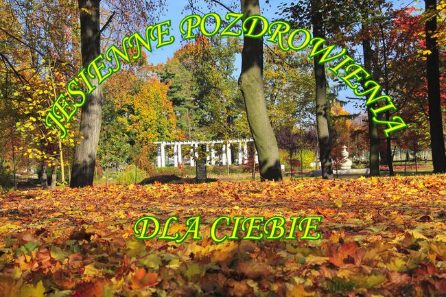 JESIENNE POZDROWIENIA