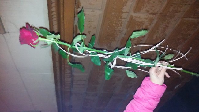 Ja nie przestane kochać