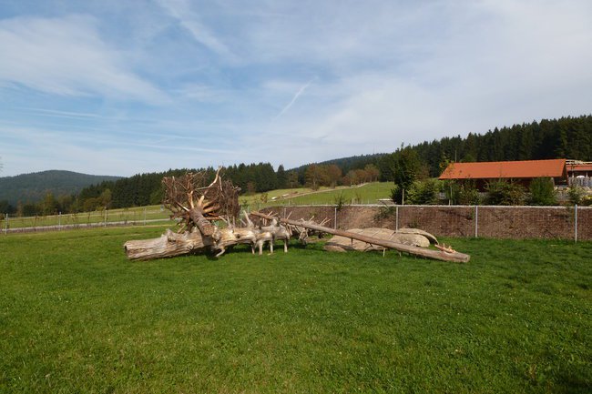 Wycieczka/Sankt Englmar