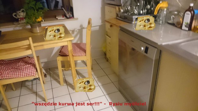 Wszędzie k**** jest ser