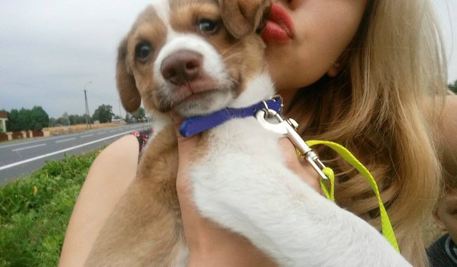 Urodziny Księżniczki