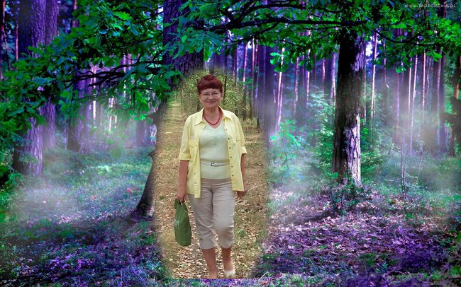 DLA MIŁOŚNIKÓW LASU I PRZYRODY