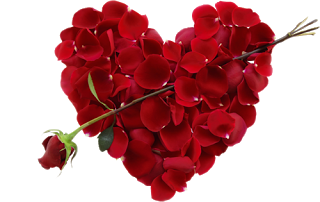 W DNIU IMIENI ULECZKI