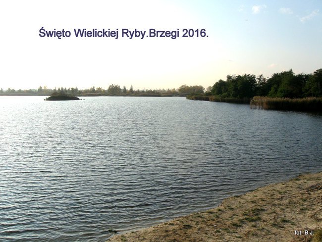 Święto Wielickiej Ryby 2016