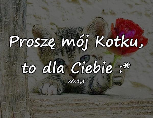 dziękuję ci, że jesteś