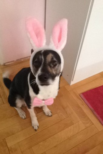 Wszystkiego najlepszego