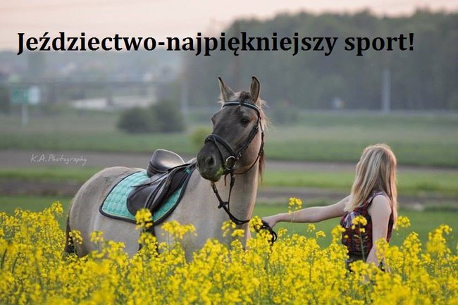 Jeździectwo-najpiękniejszy sport!