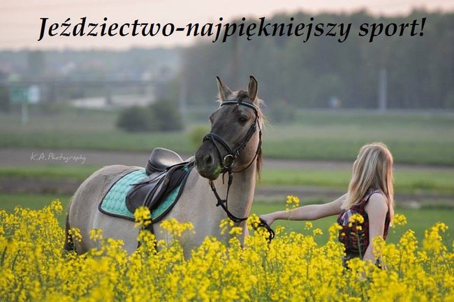 Jeździectwo-najpiękniejszy sport na świecie!