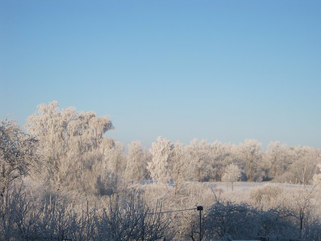 Kamińsk zimą 28-01-11