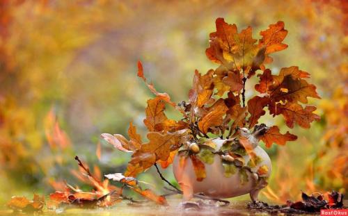 DLA GRONA MOICH PRZYJACIÓŁ ZA PAMIĘĆ ZA KOMENTARZE WPISY OCENKI GWIAZDKI