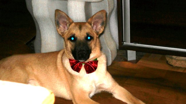 ćwierć wieku minęło  .................