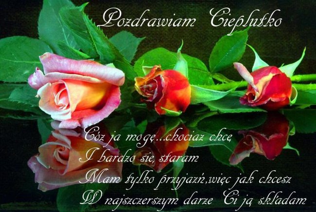 DLA KOGO KWITNĄ RÓŻE