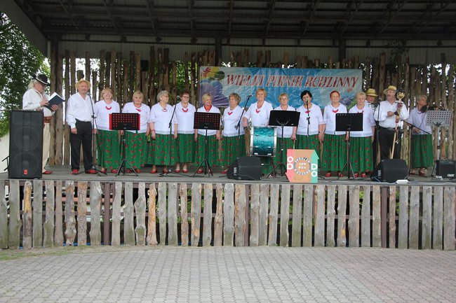 28.05.2016 Piknik Rodzinny w Woźnikach