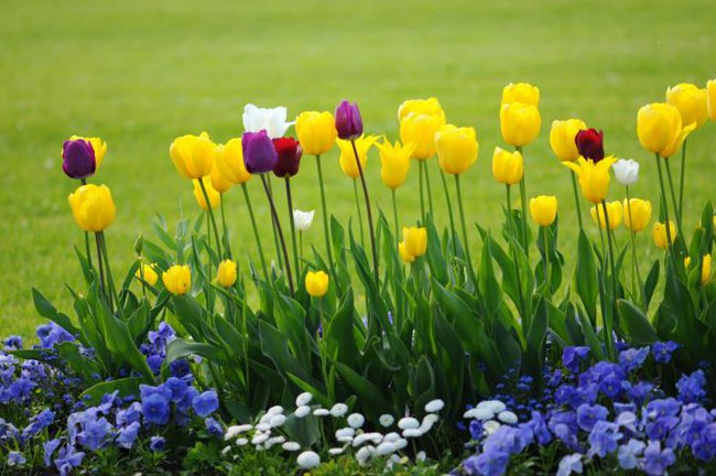 Miłego  Popołudnia