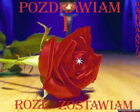 POZDRAWIAM !:)